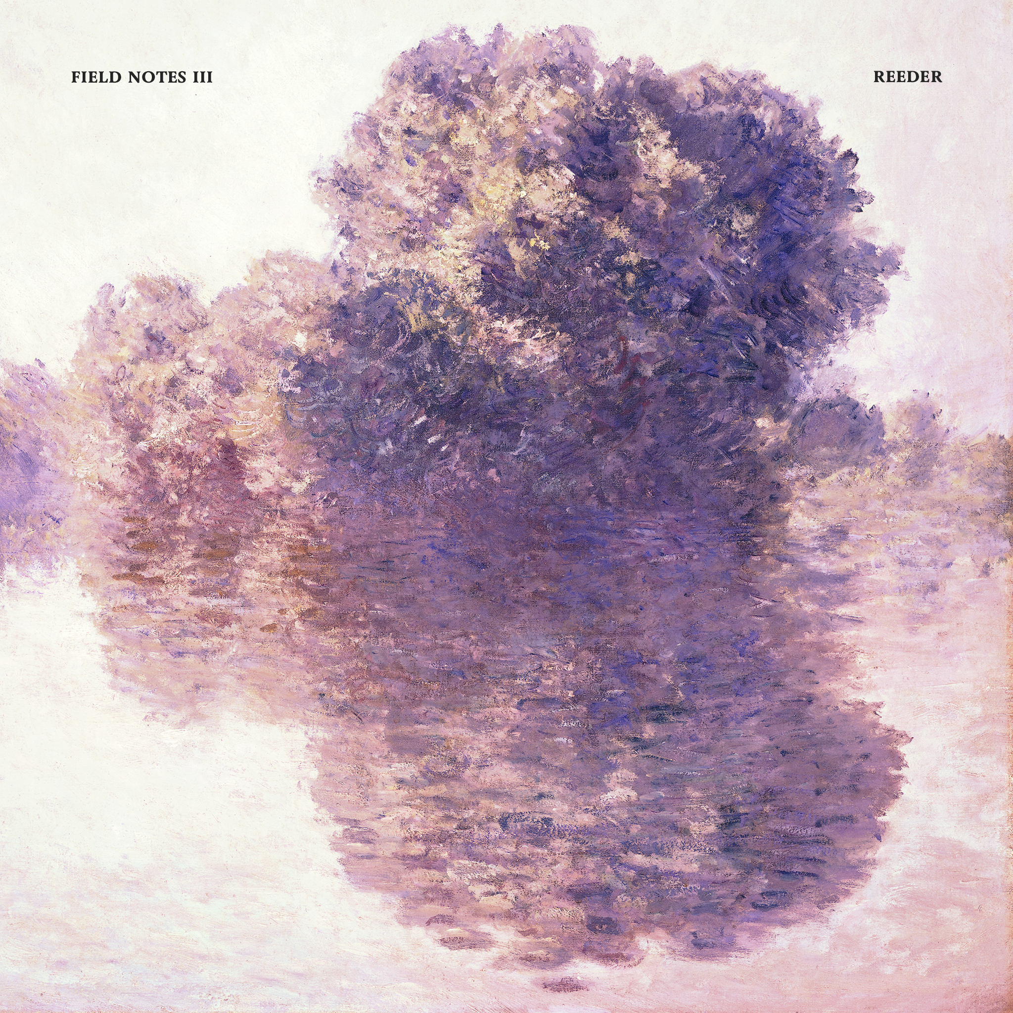 Field Notes III Artwork